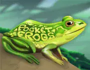 frog image